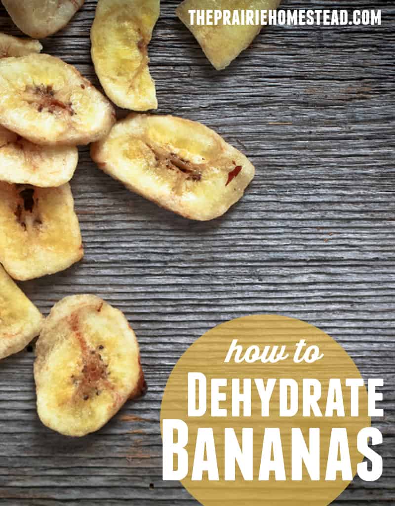 how to dehydrate bananas