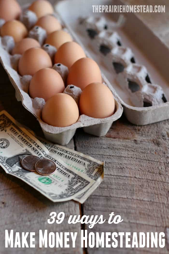 39 ways to make money while living the modern homesteading lifestyle