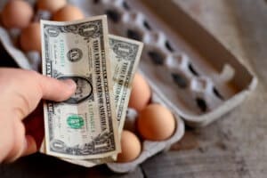 how to make money from homesteading