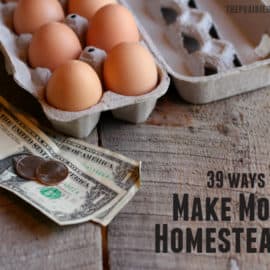 how to make money while homesteading