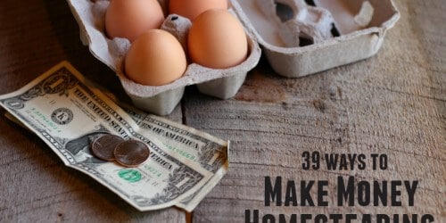 how to make money while homesteading