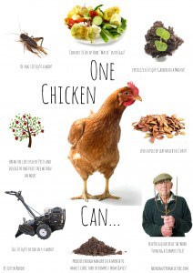 gardening with chickens poster