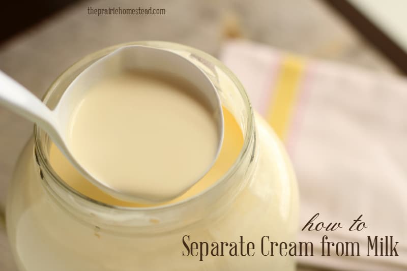 How to Separate Cream from Milk