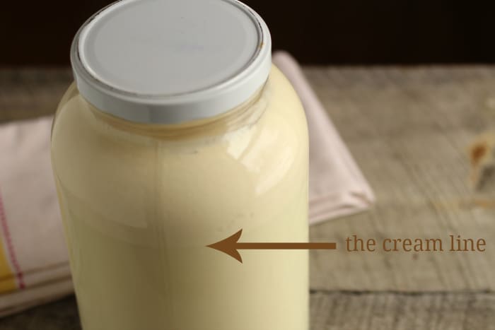 how to separate cream from milk