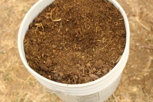 homemade potting soil recipe