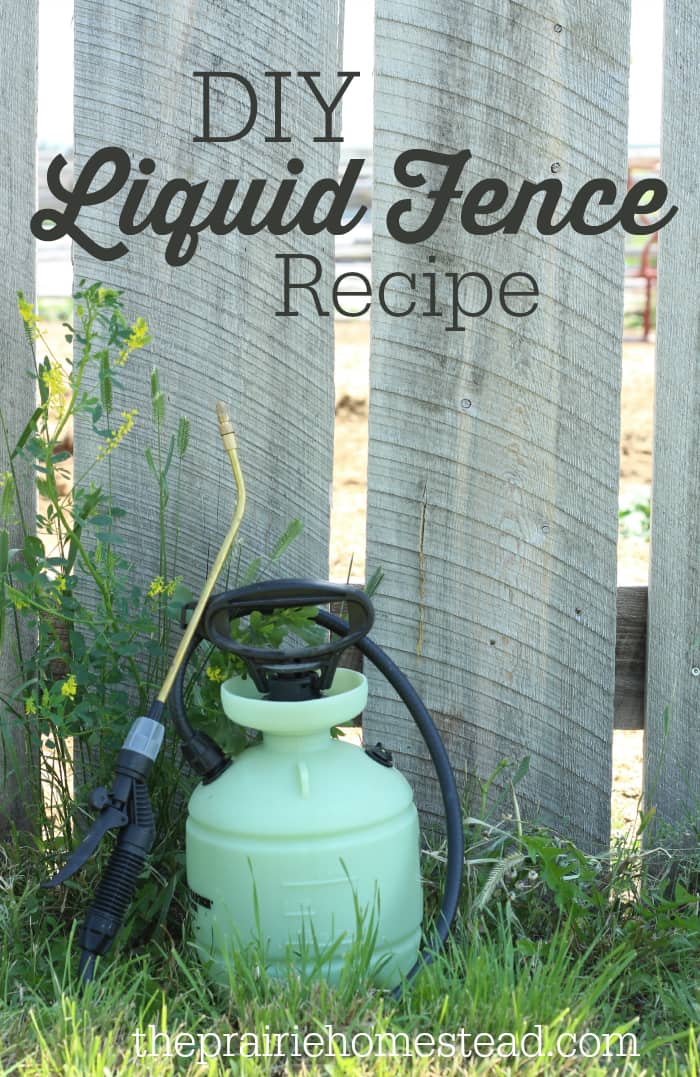 homemade liquid fence recipe