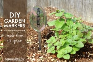 diy garden markers spoon