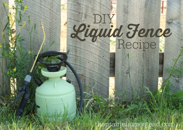 Liquid Fence Recipe | The Prairie Homestead