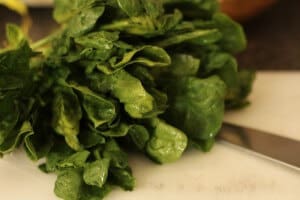 Spinach Quesadilla Recipe