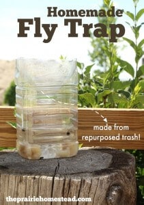 homemade fly trap
