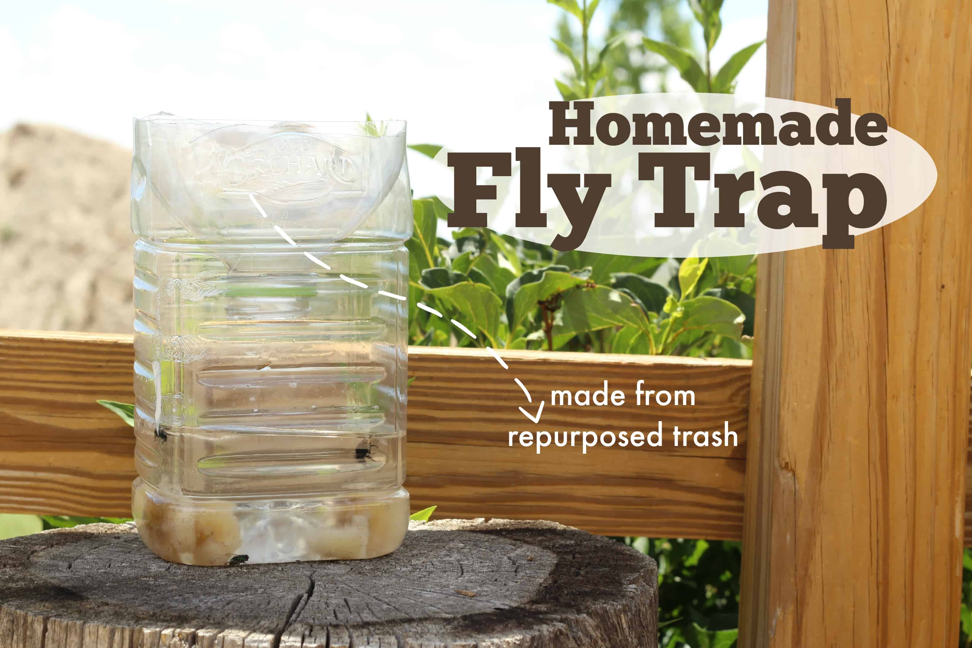 Homemade Fly Trap | The Prairie Homestead