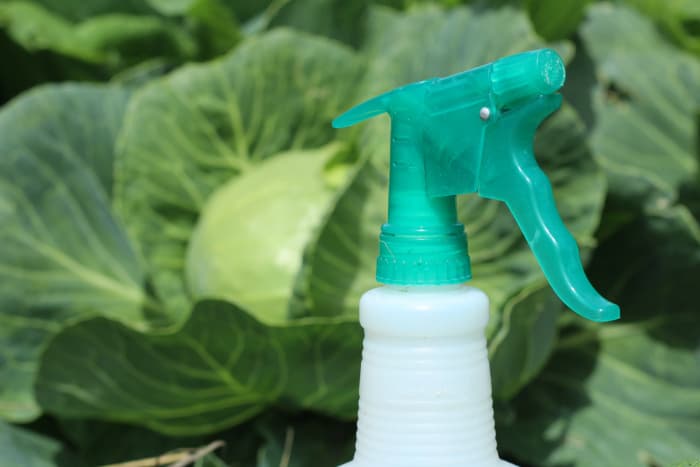 Organic Pest Control Spray For Gardens, Garden Pest Control Spray