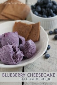 blueberry cheesecake ice cream recipe