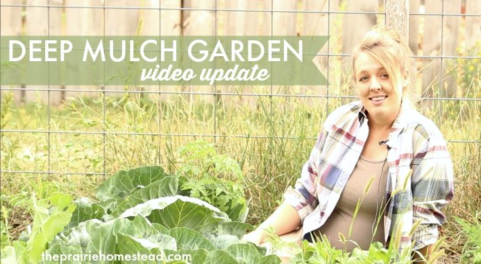 deep mulch garden video update