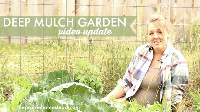 deep mulch garden video update