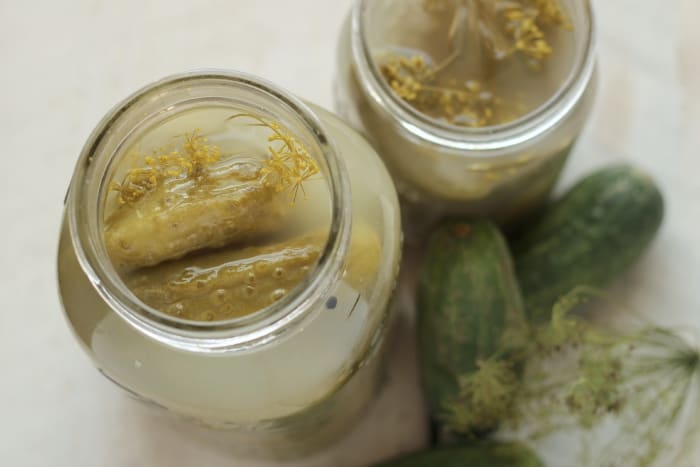 Homemade Fermented Pickle Recipe