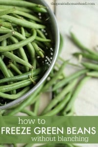 how to freeze green beans without blanching