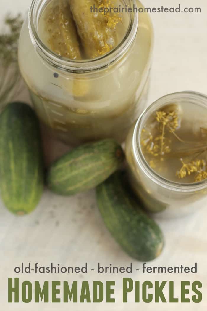 homemade fermented pickle recipe with dill and garlic
