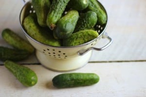 pickling cucumbers in a colander