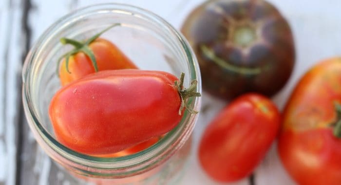 preserving tomatoes by canning, freezing, or drying