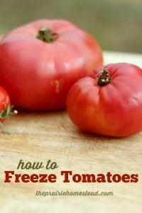 freezing tomatoes