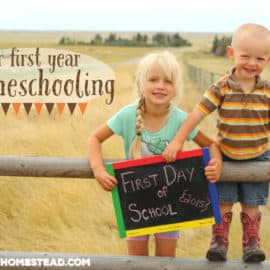Our First Year of Homeschooling #homeschooling | The Prairie Homestead