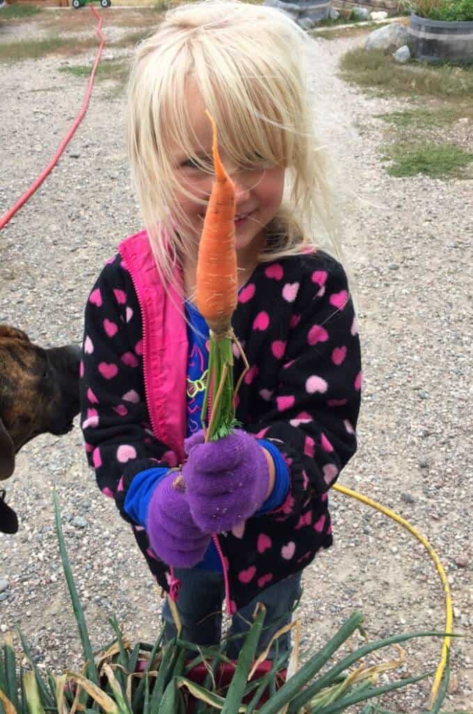 Our First Year of Homeschooling - carrot | The Prairie Homestead