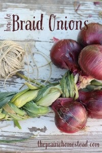 how to braid and store onions