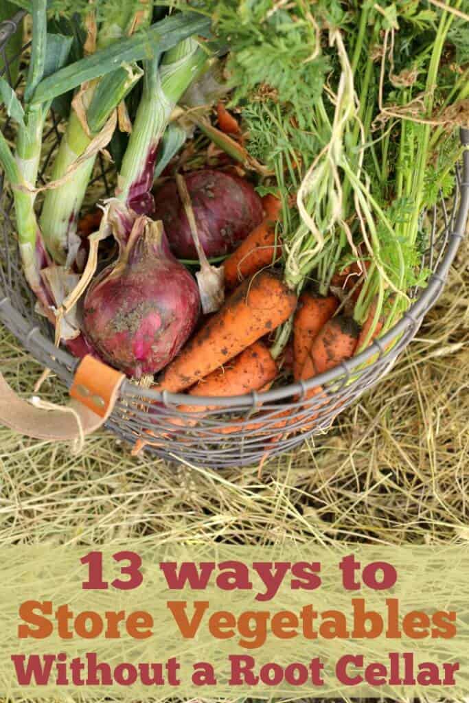 how to store vegetables without a root cellar