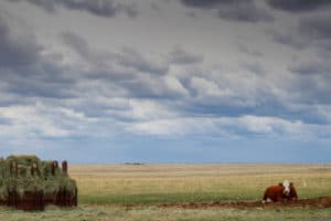 wyoming prairie