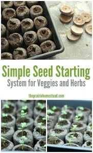 easy cheap seed starting system