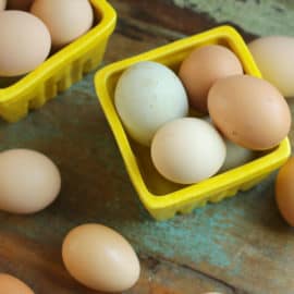 ways to use lots of extra eggs