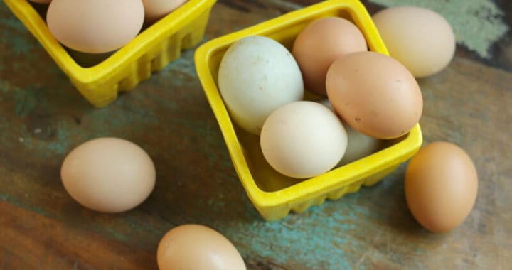 ways to use lots of extra eggs