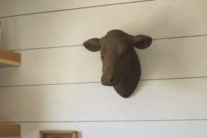faux cow head heifer head