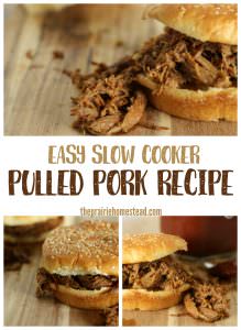 easy slow cooker pulled pork recipe