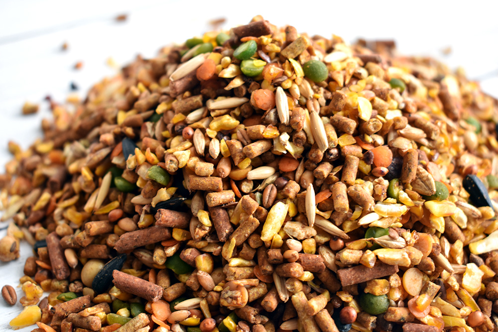 Homemade Chicken Feed Mix