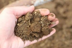 composted manure
