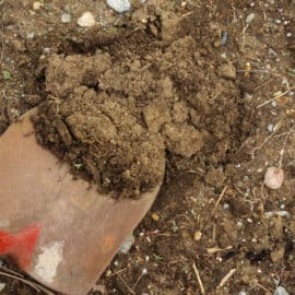 improve garden soil naturally