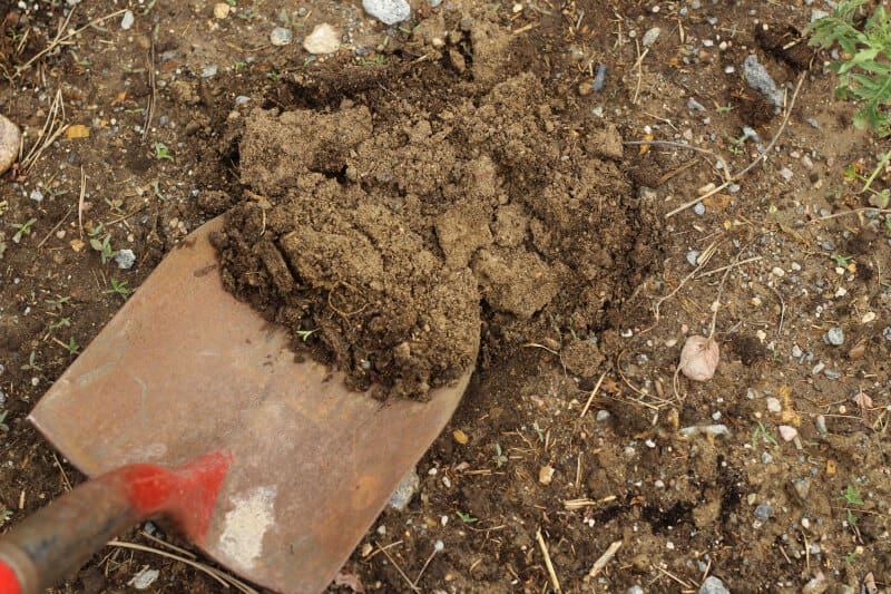 improve garden soil naturally