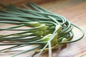 how to cut garlic scapes