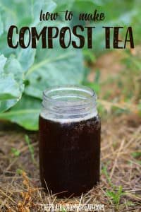 homemade compost tea recipe