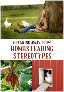 homesteading stereotypes