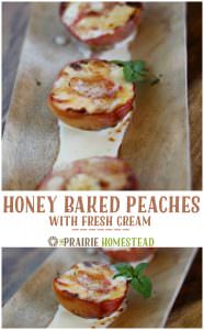 honey baked peaches with cream