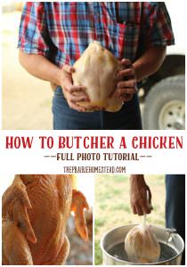 how to butcher a chicken tutorial