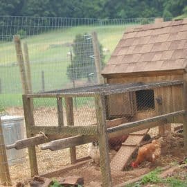 how to build a chicken run
