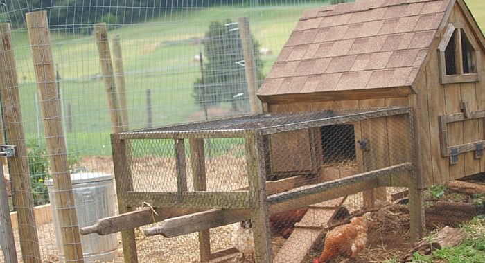 how to build a chicken run