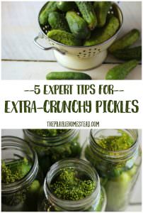 how to make crunchy pickle