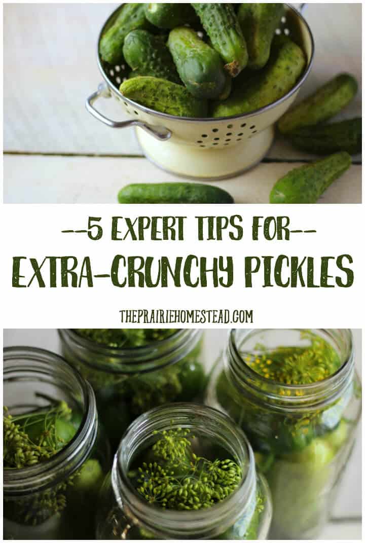 How to make crunchy pickles