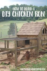instructions for a diy chicken run