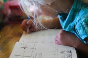 first grade homeschool curriculum for homesteaders